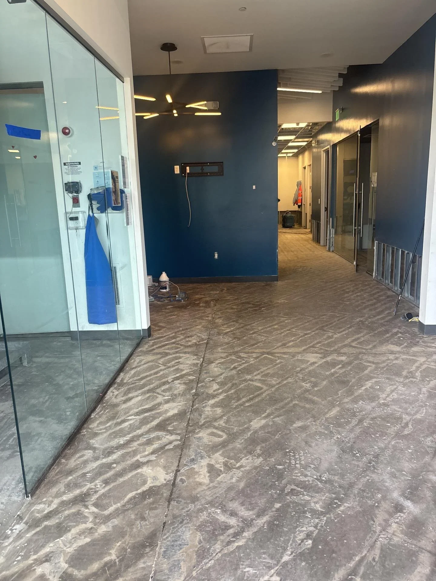 Modern commercial entry with polished concrete floors, navy accent wall, and glass partitions